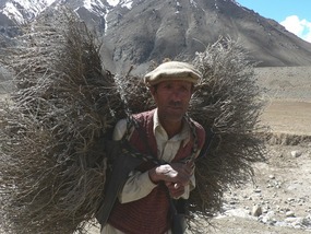 Man Carrying Firewood Near Shandur