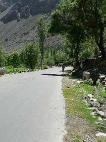 Quiet Country Lane, Gupis