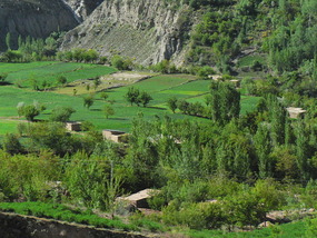 Verdant Farm Land Just out of Buni