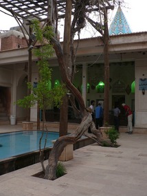 1,000 Year Old Grapevines of Zeyaratgah Shrine