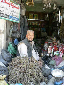 Shop Seller, Chitral Town