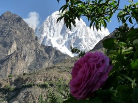 Mount Rakaposhi*