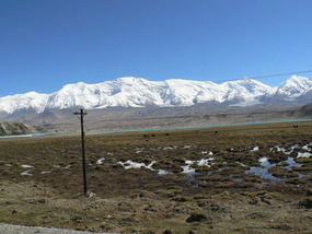 Alpine Wetlands Along the Karakoram highway