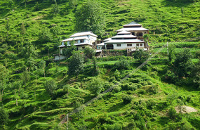 Homes Near Balakot