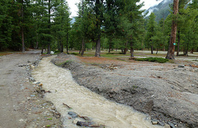 Babbling  Brooks at Rama