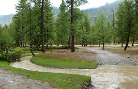 Park Like Surrounds of Rama