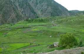 Verdant Pastures Toward Astore