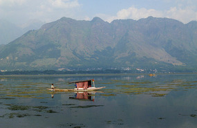 Fisherman on the Tranquil Waters of Dal Lake