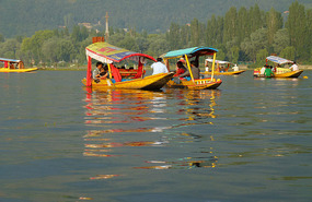 Shikaras, Dal Lake