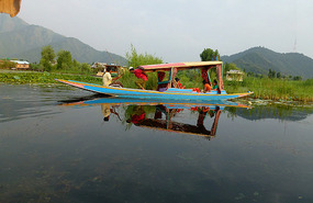Shikaras and Vegetable Gardens on Dal Lake