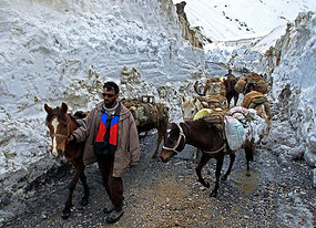 Snow Bound Zozilla Pass (Hindustan Times)