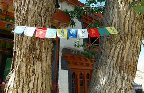 Prayer Flags at Mulbekh