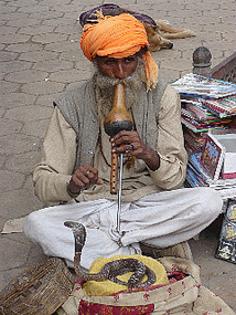 Snake Charmer Outside Amber Fort (c Peter Roberts)