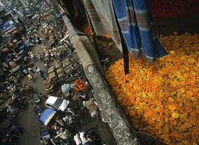 Frenetic Flower Markets*