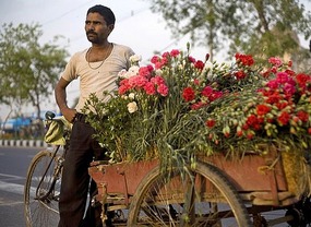 Ful-Wallah with Flowers*
