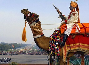 Border Guard at Delhi*
