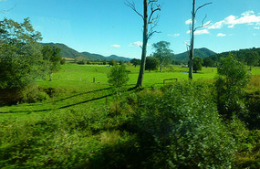 Lush Scenery Toward Dungog