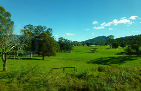 Verdant Pastures Near Gloucester