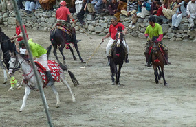 Polo Becomes Fast and Furious