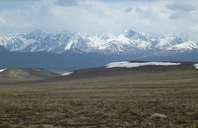 Glorious Himalayas