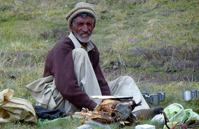 Lonely Nomad Near Deosai National Park