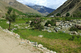 Pretty Countryside Toward Deosai Plains