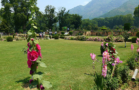 Nishat Gardens, Srinagar