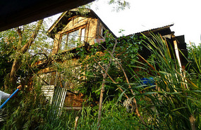 Old House and Vegetable Gardens on Dal Lake