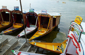 Shikaras on Dal Lake