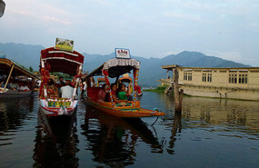Shikaras on Dal Lake