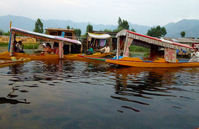 Shikaras on Dal Lake