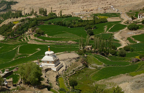 Stupa in Fertile Looking Down From Likir Monastery