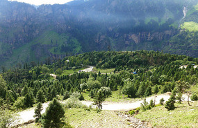 Lush Valleys along the Beas River Toward Manali