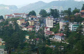 Shimla Town