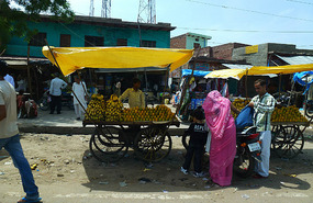 Colourful Markets out of Agra