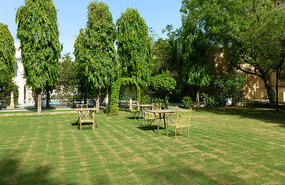 Picturesque Gardens and Ashok Trees of the Haveli