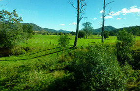 From the XPT - Lush Green Meadows Near Gloucester