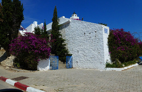 Exclusive Homes in Sidi Boud Said