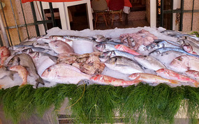 Selection of Fish at La Goulette Fish Markets