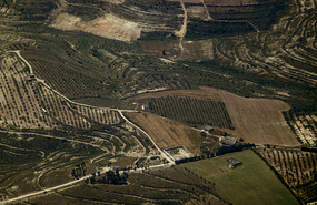 Contoured Terraces Flying Toward Algeria
