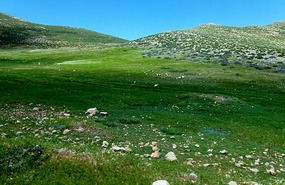 High Alpine Pastures of the Middle Atlas