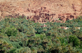 Ancient City Ruins and Palmerie, Tinghir