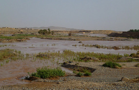Floods Outside of Merzouga