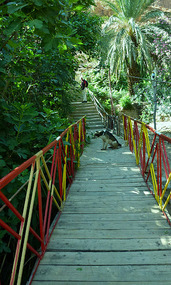 Suspension Bridge & Stairway to our Hotel, Tinghir