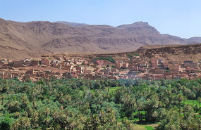 The Oasis of Tinghir