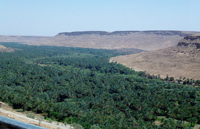 The Power of Water - An Oasis in the Desert