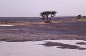 Wonderful Desert Colours Toward Merzouga