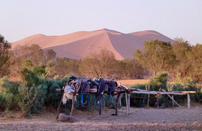Crescent Dunes in a Red Sunrise at Merzouga