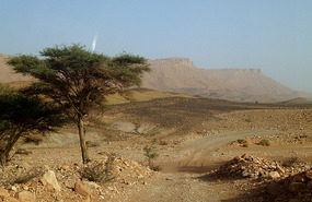 Sensational Scenery Toward Ouzina