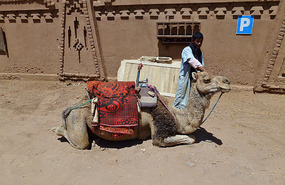Lovely Hamadu